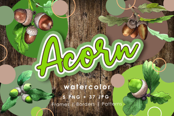 Acorn Plant Watercolor Set: A Versatile Illustration for Digital Sellers