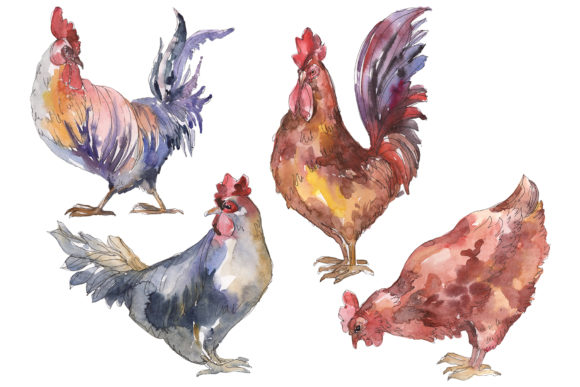 Agriculture Cock and Hen Watercolor Illustrations: A Seller’s Perspective