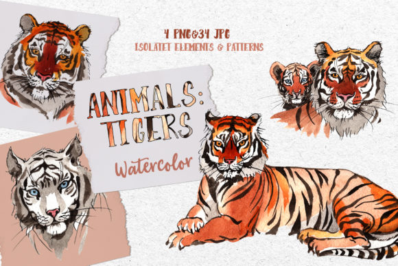 Animals Tigers Watercolor: A Versatile Illustration for Content Creators
