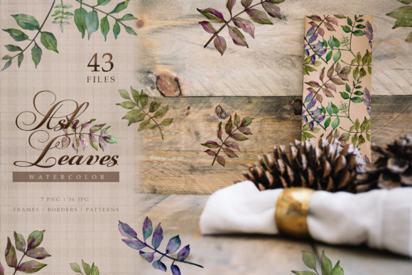Ash Leaves Watercolor Set: A Natural Illustration Boost for Local Business Branding
