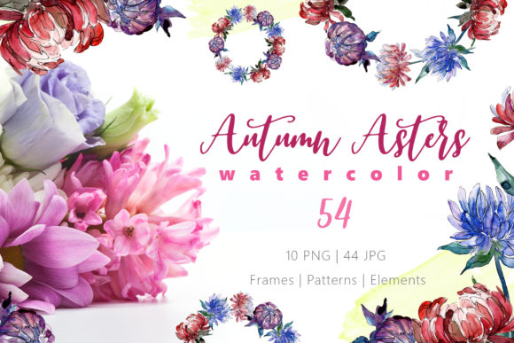 Autumn Asters Watercolor: A Versatile Illustration for Branding and Marketing