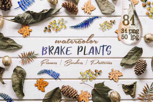 Brake Plants Watercolor Set for Illustrations and Digital Sellers