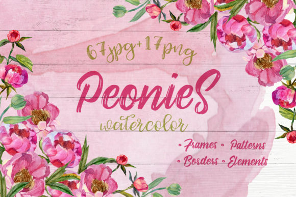 Cool Peonies Watercolor Flowers Set: A Polished Illustration for Content Creators