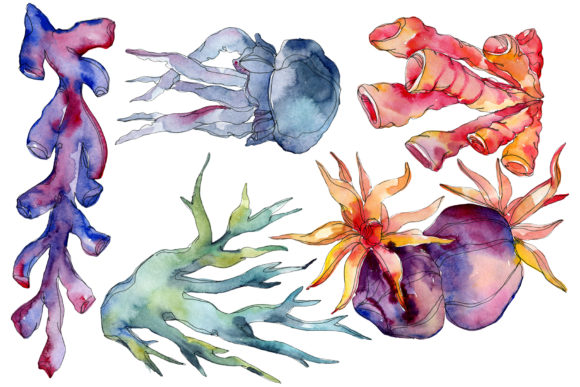 Corals Blue, Red and Green Watercolor Illustrations for Digital Sellers