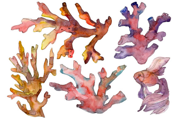 Corals Red Watercolor: A Vibrant Graphic Design Asset for Modern Branding