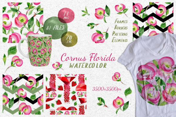 Cornus Florida Flowers Watercolor Set Review for Crafters