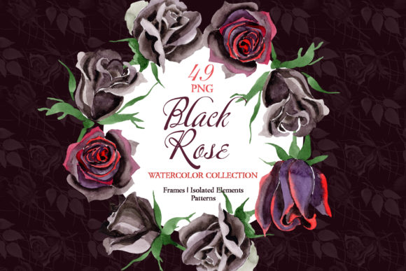 Exclusive Black Rose Watercolor: A Versatile Illustration for Modern Branding
