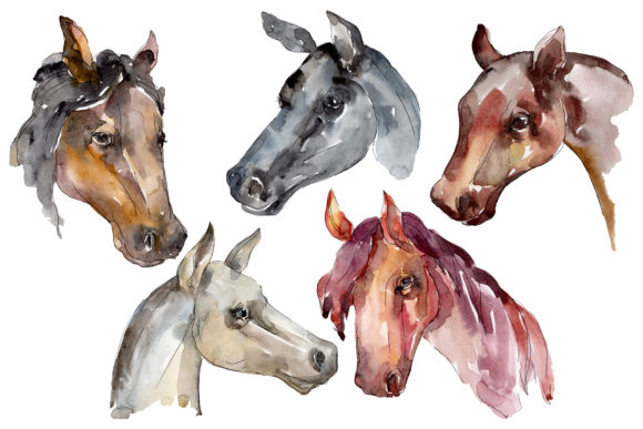 Farm Animals Horse Head Watercolor Illustration Review
