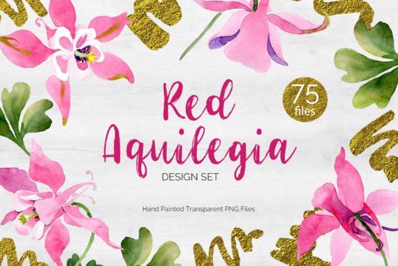 Flowers Aquilegia Red, Spring Watercolor Review for Real Projects