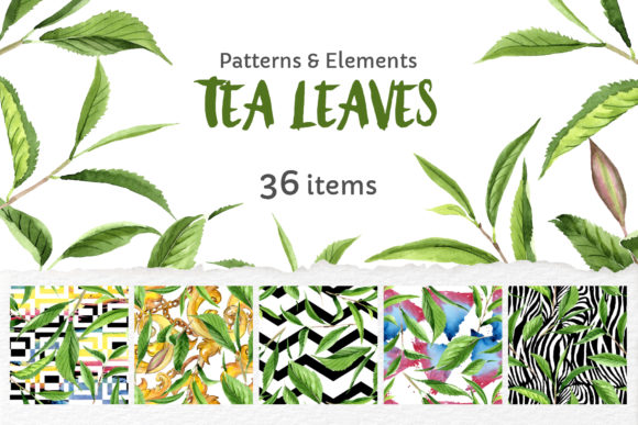 Green Tea Leaves Watercolor for Marketing Illustrations