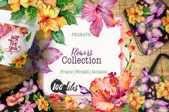 Hibiscus Watercolor Flower Set: A Versatile Illustration for Modern Branding