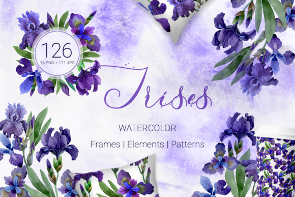 Irises Gentle Purple Watercolor for Creative Illustrations