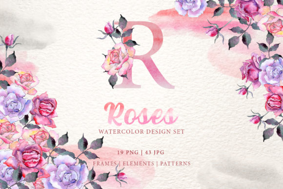 Pink Roses Watercolor: A Versatile Illustration for Creative Designers