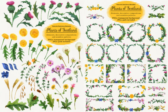 Plants of Scotland. Watercolor: A Delicate Design for Real Projects