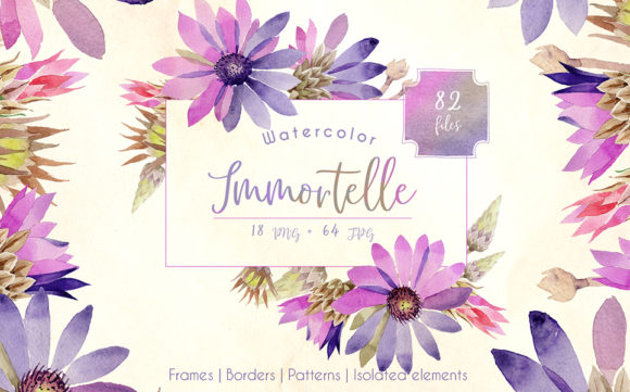 Purple Immortelle Watercolor Set: A Designer’s Real-World Review