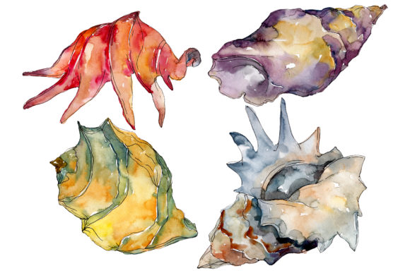 Shells Watercolor Illustrations: A Versatile Graphic Design Asset for Crafters