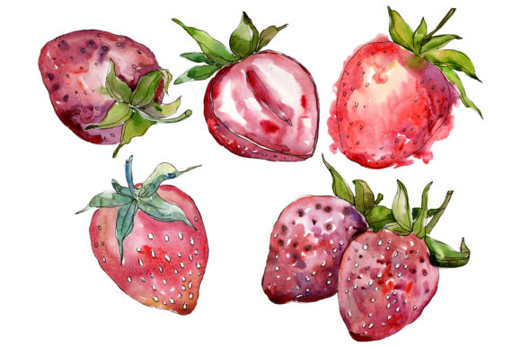 Strawberry Cultivar Malvina Watercolor Review for Real Projects