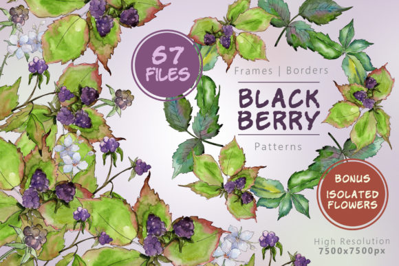 Sweetly Blackberry Watercolor Set: A Versatile Illustrations Kit for Content Creators