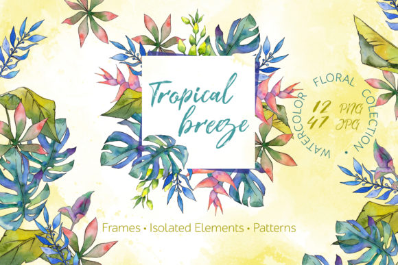 Tropical Breeze Watercolor Illustrations: A Seller’s Review