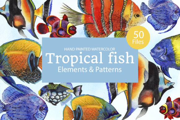 Tropical Fish Watercolor for Website and Editorial Design
