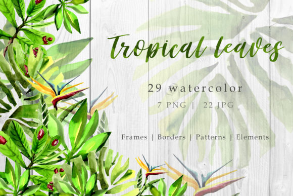 Tropical Leaves Watercolor Set: A Polished Graphic Design Asset for Content Creators