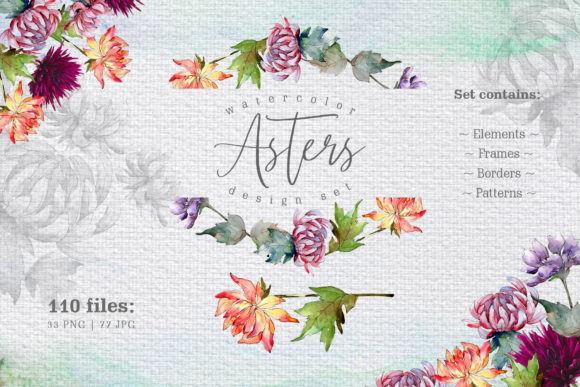 Watercolor Asters Design Set: A Fresh Illustration for Creative Projects