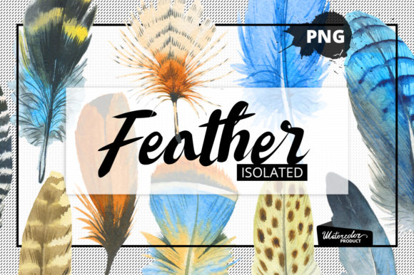 Watercolor Feather and Patterns: A Versatile Illustration for Creative Branding