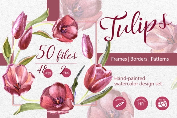 Wildflower Red Tulips Watercolor Set for Marketing Illustrations