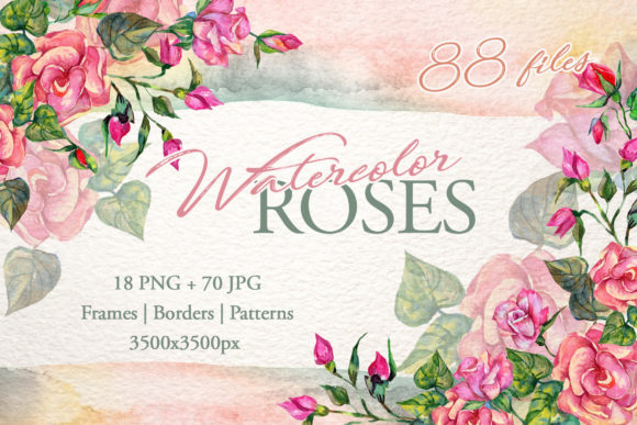 Wonderful Pink Roses Watercolor Set Review for Real Crafting Projects