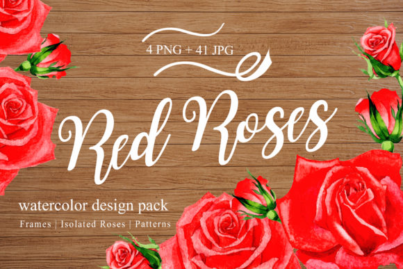 Wonderful Red Rose Watercolor Design Pack Review: A Versatile Illustration for Crafters