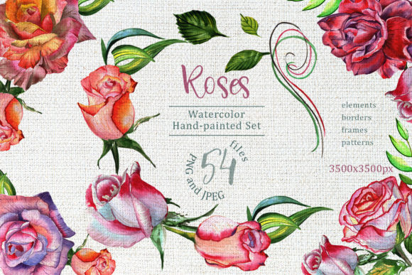 Wonderful Roses Watercolor Flower Set Review for Professional Design Use