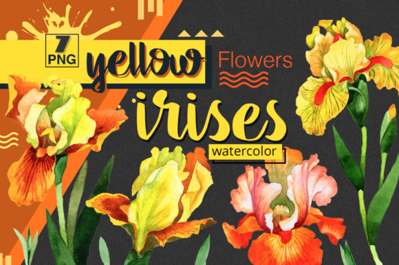 Yellow Irises Watercolor Clipart for Vibrant Illustrations